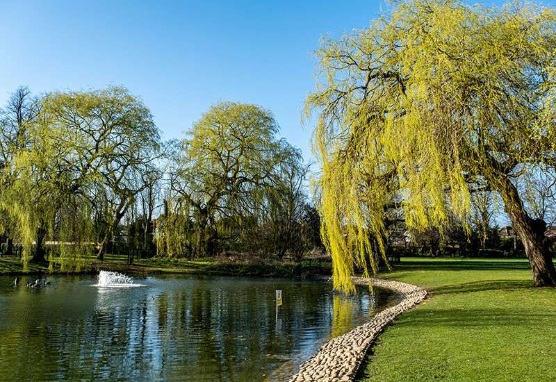 crane-hire-lifting-services-epsom